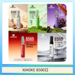 梟客XIAOKE一次性電子菸拋棄式8500口