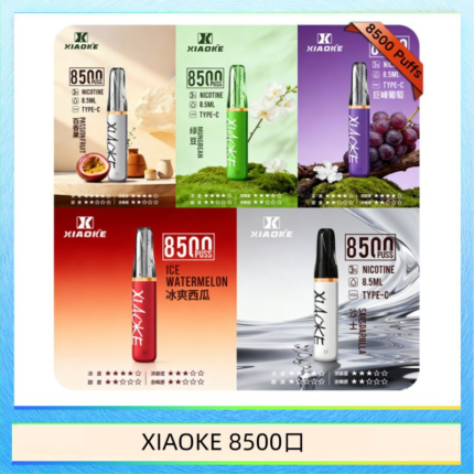 梟客XIAOKE一次性電子菸拋棄式8500口